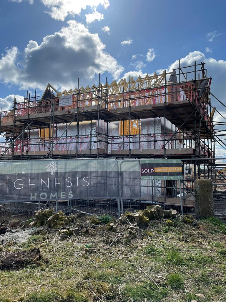 How switching to timber frame materials will help the environment