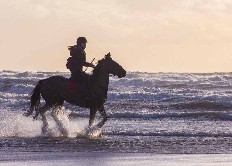 Beckstones situated by one of the best beaches in the UK