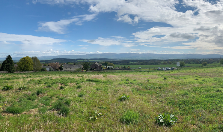 Genesis Homes Submits Planning for Development at Hackthorpe