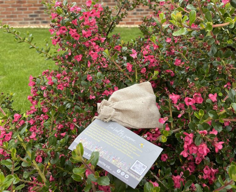 Our gifts to homeowners to help get bees buzzing again