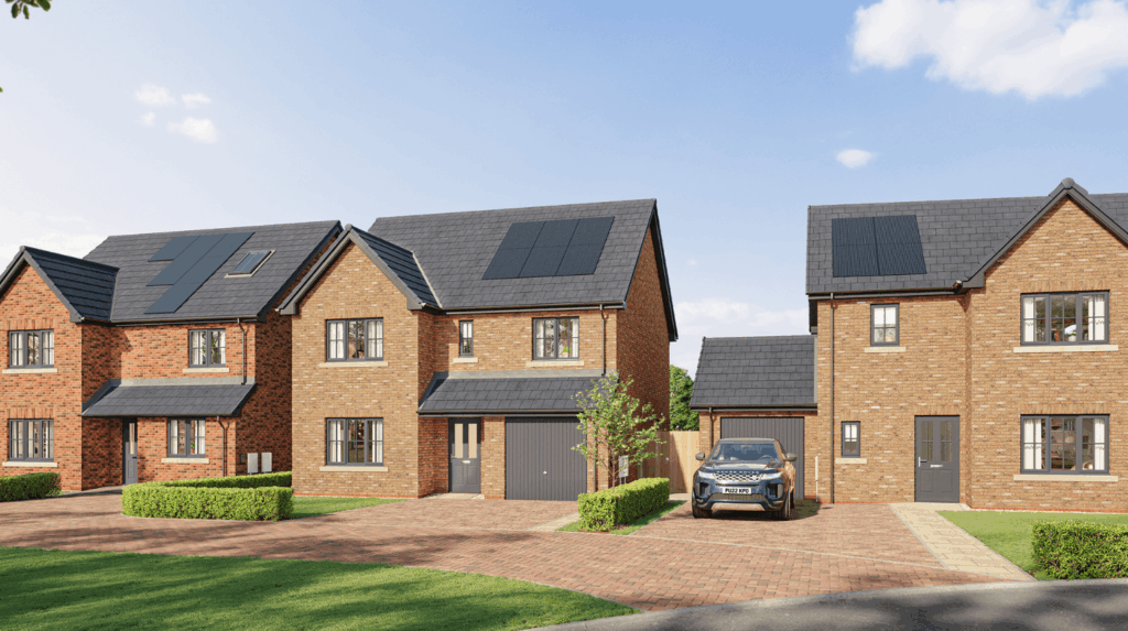 Edward’s View, Burgh by Sands