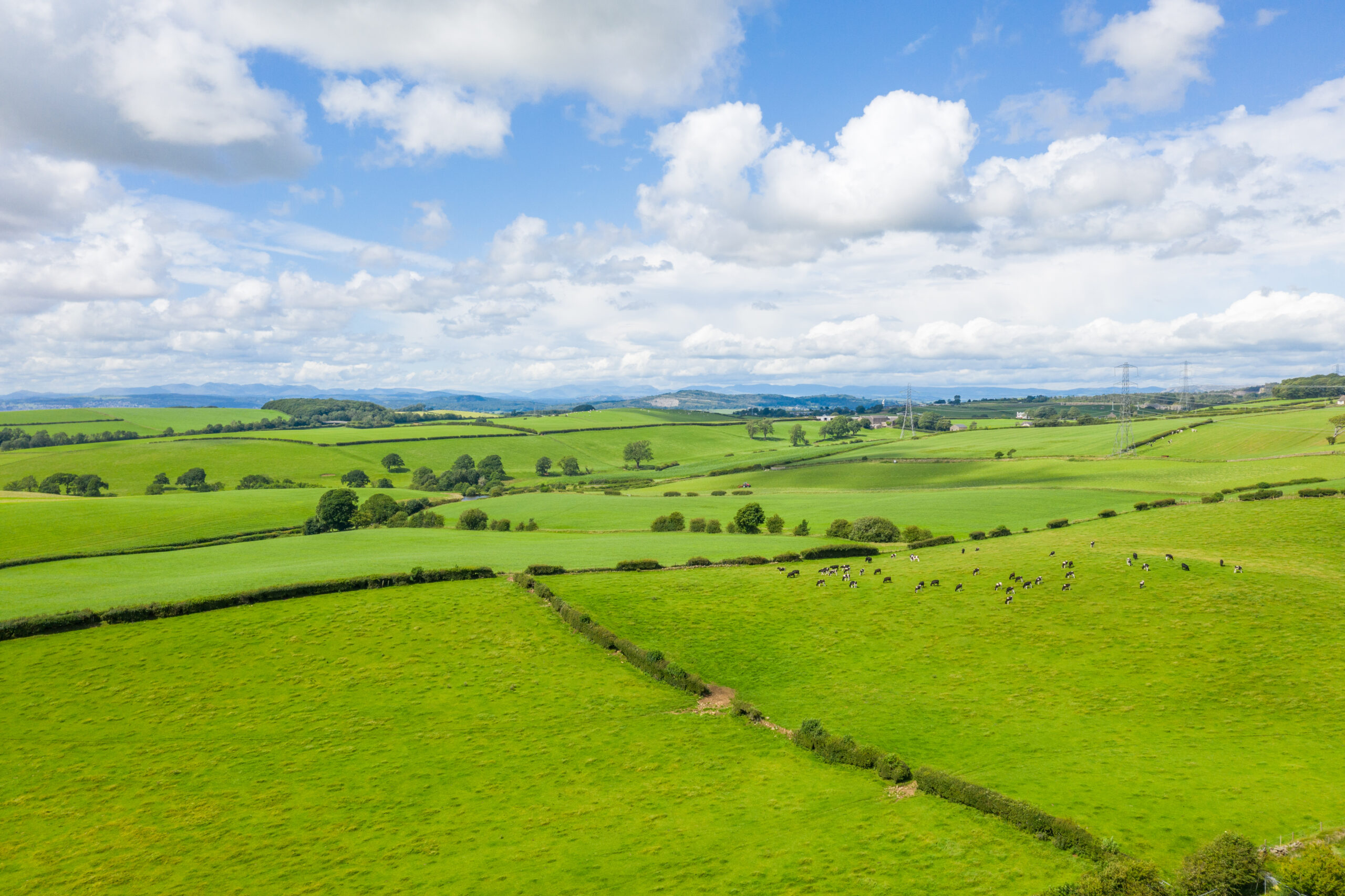 Olive Green View in Halton, new build development in progress - Russell Armer by Genesis Homes