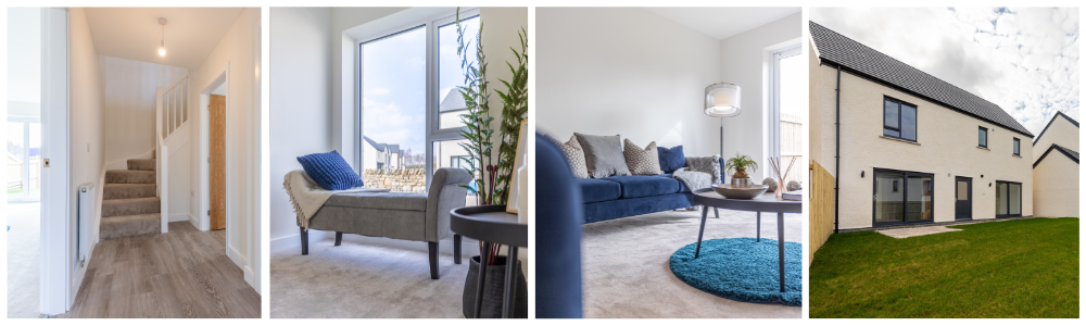 The Sedgwick house type internal images - 3-bedroom home - Russell Armer Homes