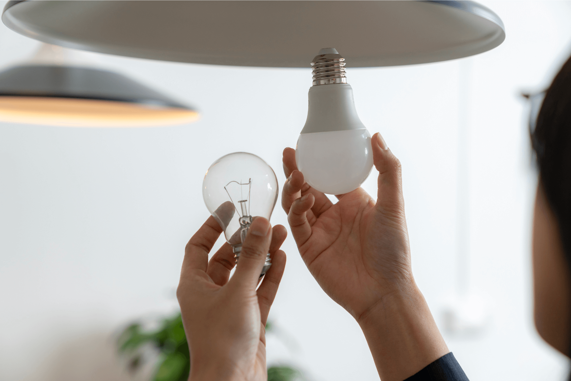 Two hands changing light bulbs from old ones to energy efficient ones