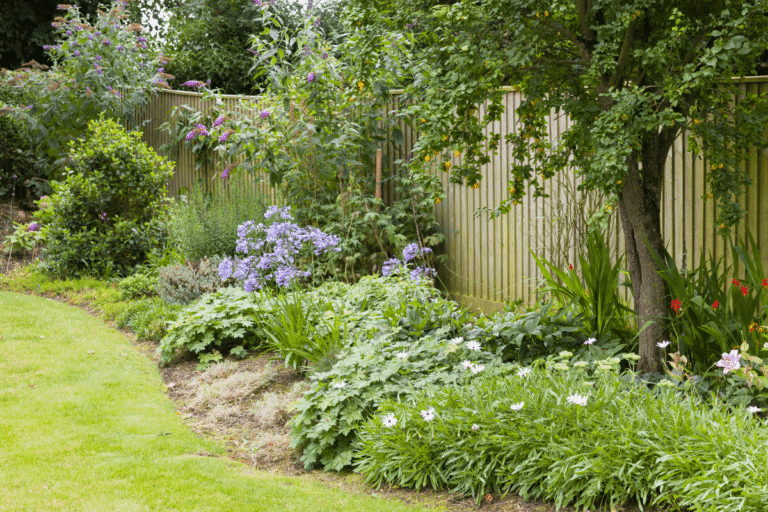 4 New Build Front Garden Ideas for Inspiration