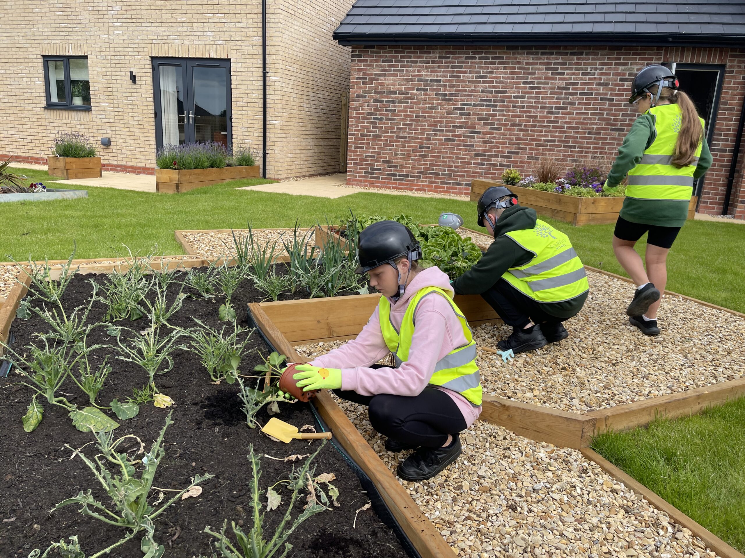 St Paul's School pupils planting in show home garden at Genesis Homes development in Seaton