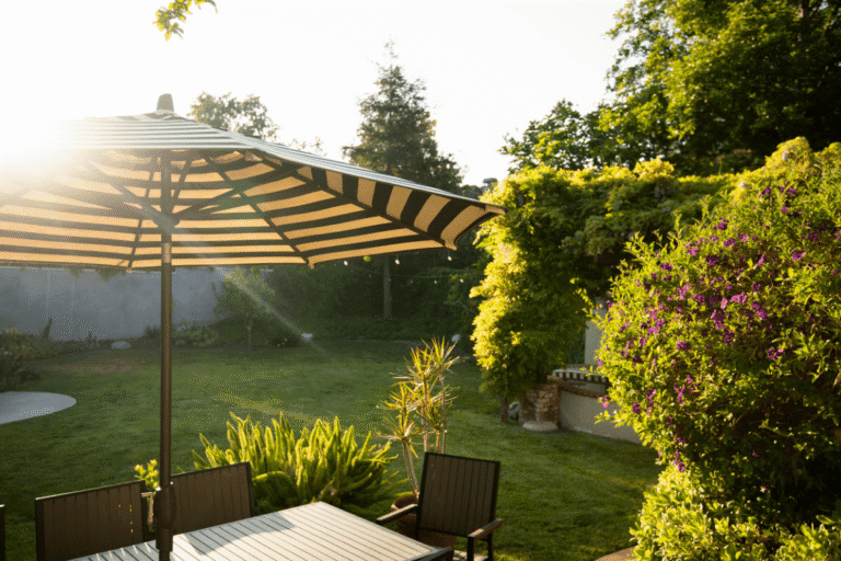 What a south facing garden really means for your home